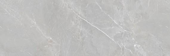 Плитка Tc Vector Fior di Bosco Silver Pattern Rectificado 30x90