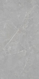 Керамогранит Tc Vector Fior di Bosco Silver Rectificado 60x120