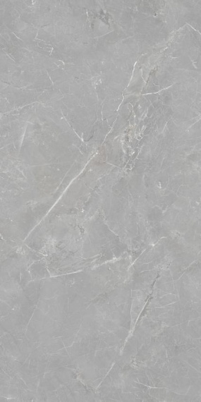Керамогранит Tc Vector Fior di Bosco Silver Rectificado 60x120