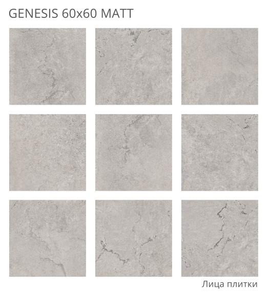 Керамогранит Staro Genesis 60x60 Matt УТ-00000656