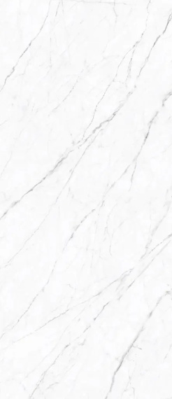 Керамогранит Simpolo Carrara Twig 120х278х6