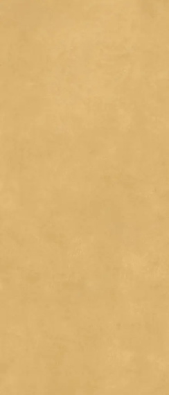 Керамогранит Simpolo Scs Spectra Mustard Gv 120х278х6