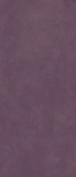 Керамогранит Simpolo Scs Spectra Wine Gv 120х278х6