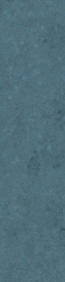 Керамогранит Simpolo Scs Spectra Berry Glossy 5,8х25