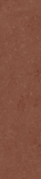 Керамогранит Simpolo Scs Spectra Chilli Glossy 5,8х25