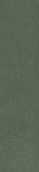 Керамогранит Simpolo Scs Spectra Herbs 5,8х25