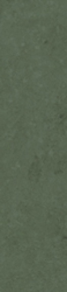 Керамогранит Simpolo Scs Spectra Herbs Glossy 5,8х25