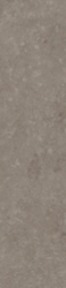 Керамогранит Simpolo Scs Spectra Moshroom Glossy 5,8х25