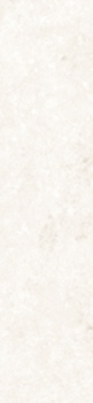 Керамогранит Simpolo Scs Spectra Salt Glossy 5,8х25