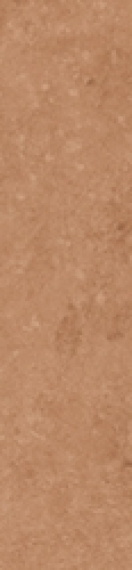 Керамогранит Simpolo Scs Spectra Tango Glossy 5,8х25