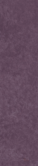 Керамогранит Simpolo Scs Spectra Wine 5,8х25