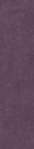 Керамогранит Simpolo Scs Spectra Wine Glossy 5,8х25