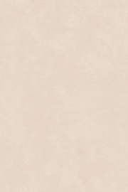 Керамогранит Artcer Rosata Tusk MATT 180x120