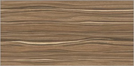 Plesso Alma Ceramica TWU09PLS424 плитка облицовочная 249*500