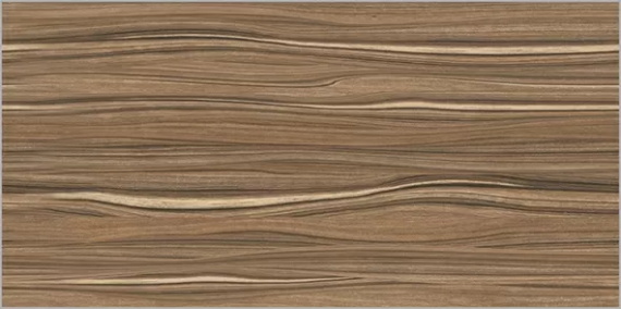 Plesso Alma Ceramica TWU09PLS424 плитка облицовочная 249*500