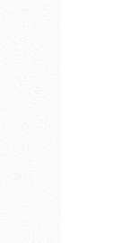 Слэб керамический WHITE TEXTURE 800х3200х12мм