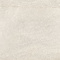 Керамогранит Echo Beige RFG60H643 600x600