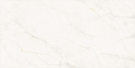 Керамогранит Mulberry  RLG157P119B 750x1500