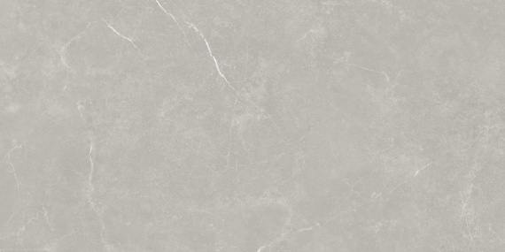 Керамогранит Smoky Grey Light RK189H205A 900x1800