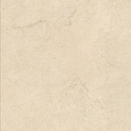 Керамогранит Tokyo Beige RFN60H533A 600x600
