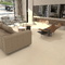 Керамогранит Tokyo Beige RFN60H533A 600x600