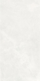 Керамогранит Harmony Light Grey MON61200 600×1200