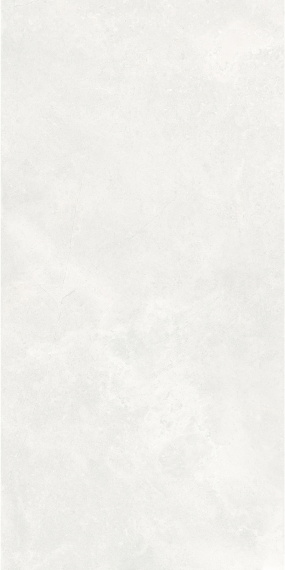 Керамогранит Harmony Light Grey MON61200 600×1200
