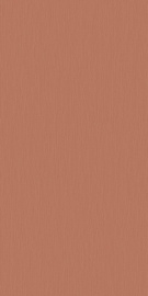 Керамогранит Motto N100184 Монотон Персик Д1 Матовый (Monotone Peach D1) 60x120