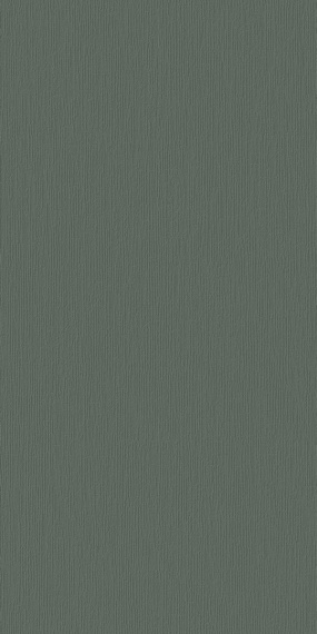 Керамогранит Motto N100157 Монотон Джунипер Д1 Матовый (Monotone Juniper D1) 60x120