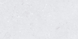 Керамогранит MDetails AMMONITE SILVER МДТ0250 60x120