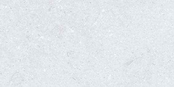 Керамогранит MDetails AMMONITE SILVER МДТ0250 60x120