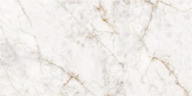Керамогранит NT Ceramic Cuarzo Gold Digital Satin NTT9362DS 600x1200