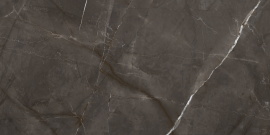 Керамогранит Laparet Таймлесс Маррон коричневый LP6012G0051R 59,5х119,1 матовый карвинг