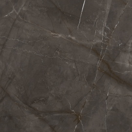 Керамогранит Laparet Таймлесс Маррон коричневый LP6060G0061R 59,5х59,5 матовый карвинг