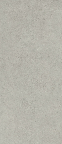 Керамогранит Italon Форум Стоун Сильвер 120x278 600180000082