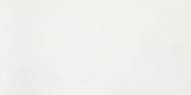 Кераморанит Neodom Aston White Matt 60x120 N110011