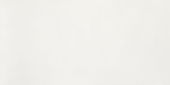 Кераморанит Neodom Aston White Matt 60x120 N110011