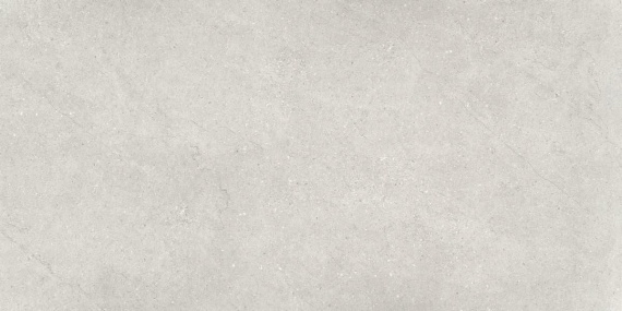 Кераморанит Neodom Liberty Grey Matt 60x120 N110007