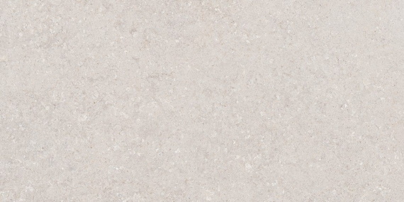 Кераморанит Neodom Venti Mushroom Matt 60x120 N120036
