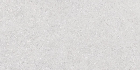 Кераморанит Neodom Venti Silver Matt 60x120 N120034