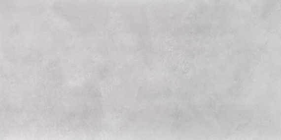 Кераморанит Neodom Newport Gris Matt 60x120 N20478