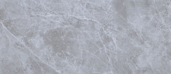 Керамогранит Neodom Belgium Grey Polished 120x270 N80004/270