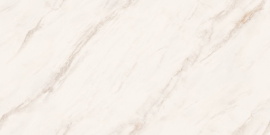 Керамогранит Neodom Angelo Oro Matt Carving 60x120 N20765