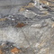 Керамогранит Neodom Explosion Blue Polished 60x120 N20768