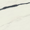 Керамогранит Atlas Concorde Forte Dei Marmi Panda White Матовая 120x120 600010002406