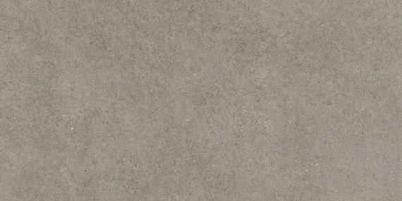 Керамогранит Atlas Concorde Forte Dei Marmi Rock Lunar Grey 80x160 610010005813