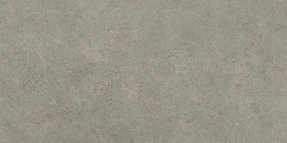 Керамогранит Atlas Concorde Forte Dei Marmi Rock Lunar Grey 80x160 610010005813