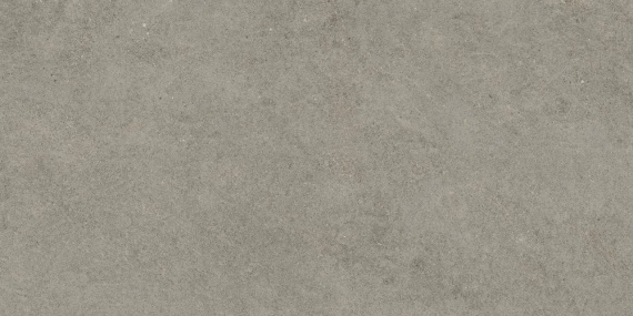 Керамогранит Atlas Concorde Forte Dei Marmi Rock Lunar Grey 80x160 610010005813