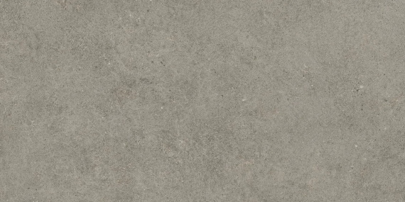 Керамогранит Atlas Concorde Forte Dei Marmi Rock Lunar Grey 60x120 610010005821