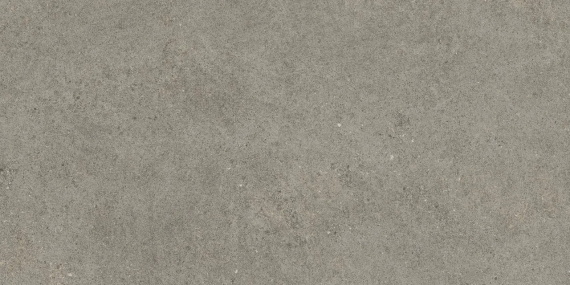 Керамогранит Atlas Concorde Forte Dei Marmi Rock Lunar Grey 20 mm 60x120 600010002436